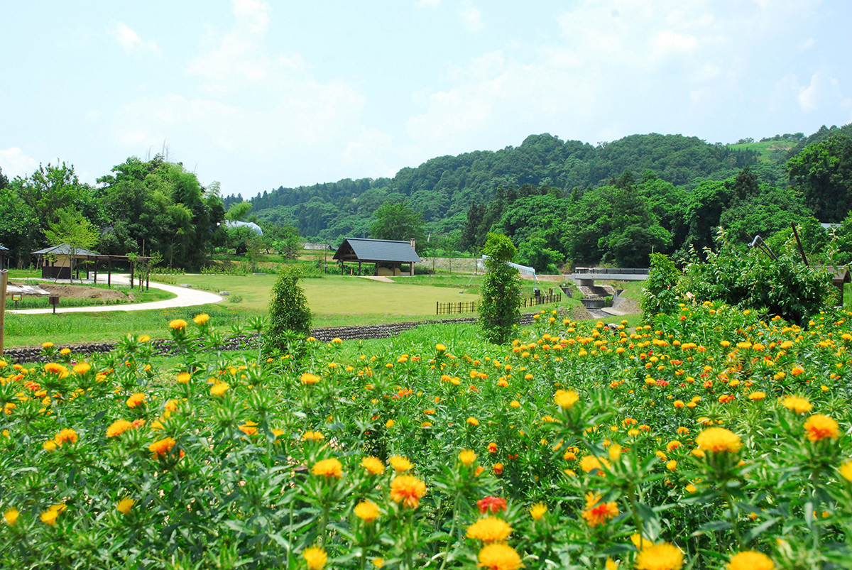 山形県河北町