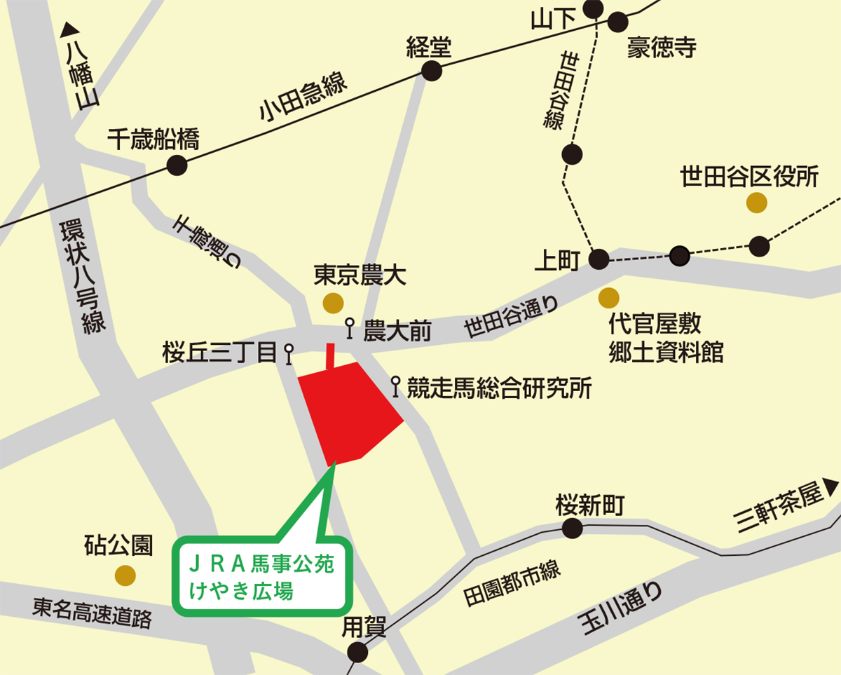 交通案内 交通案内